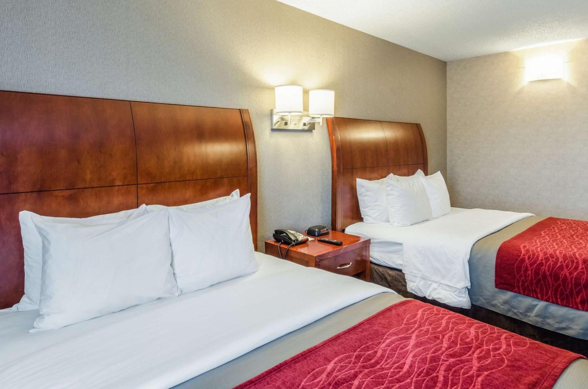 Comfort Inn & Suites Вэст спрингфильд Экстерьер фото